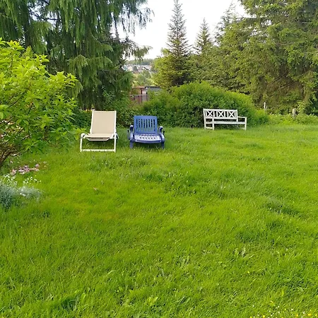 Waldblick