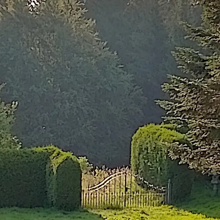 Waldblick Apartment