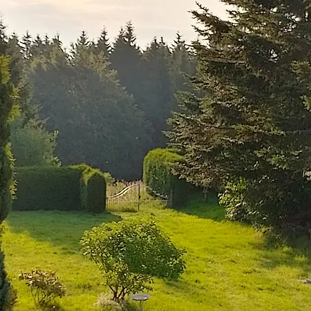 Waldblick *